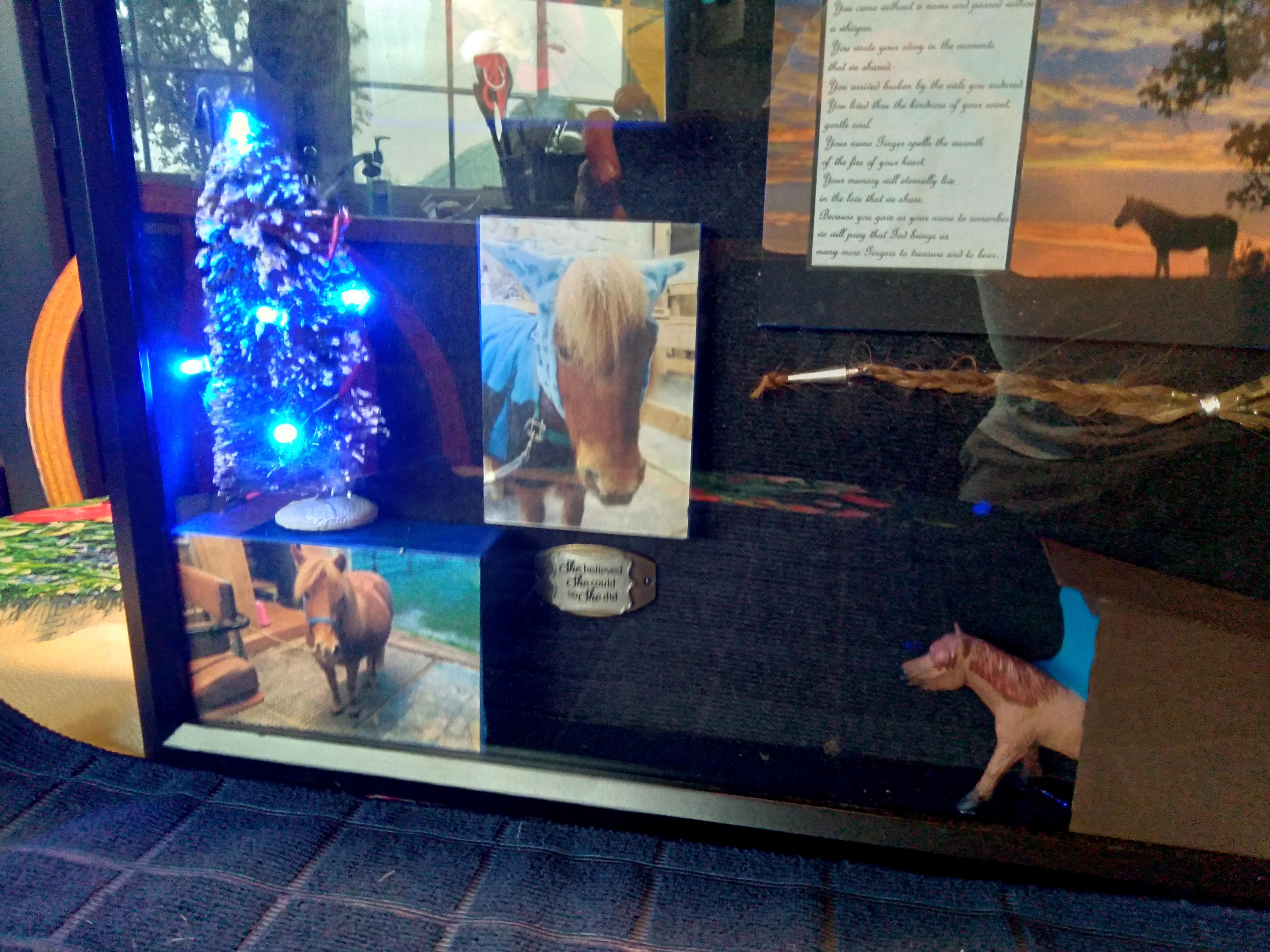 Pony, Shadowbox, Soldering Gallery DakkaDakka